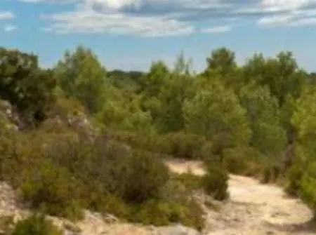 Les Hauts Marins Frontignan